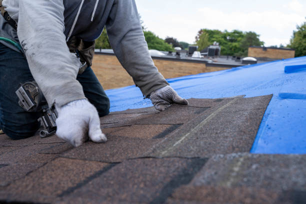 Best Solar Panel Roofing Installation  in Ogden, IA